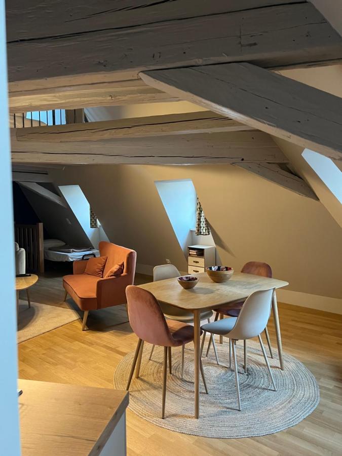 Duplex Atypique Au Coeur De Mulhouse Lägenhet Exteriör bild