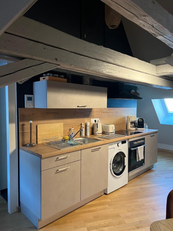 Duplex Atypique Au Coeur De Mulhouse Lägenhet Exteriör bild