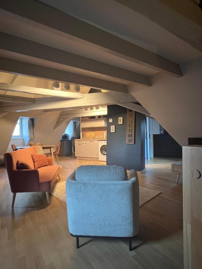 Duplex Atypique Au Coeur De Mulhouse Lägenhet Exteriör bild